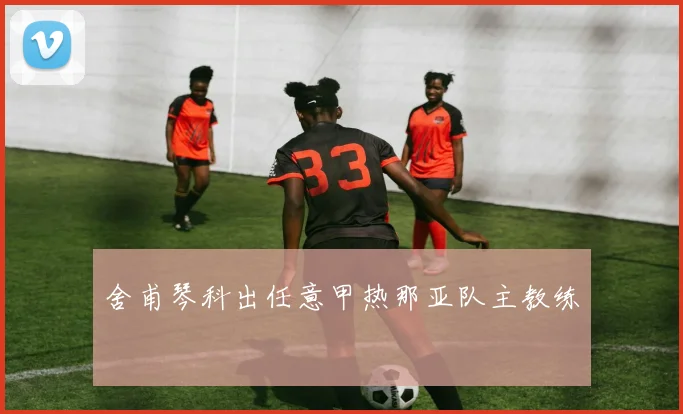 舍甫琴科出任意甲热那亚队主教练