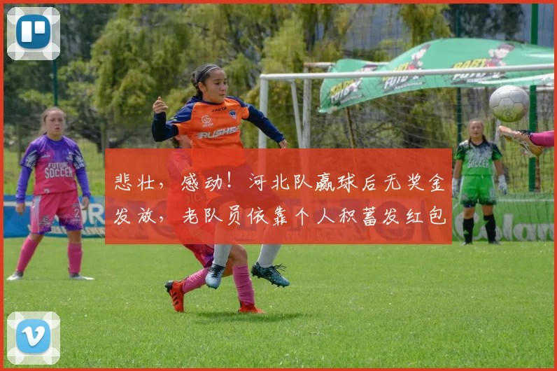 悲壮，感动！河北队赢球后无奖金发放，老队员依靠个人积蓄发红包
