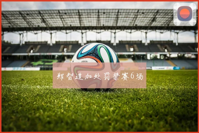 郑智追加处罚禁赛6场